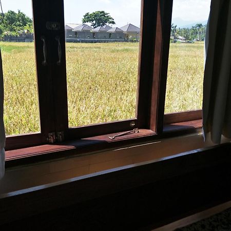 素馨兰花海滩酒店 罗威那 外观 照片